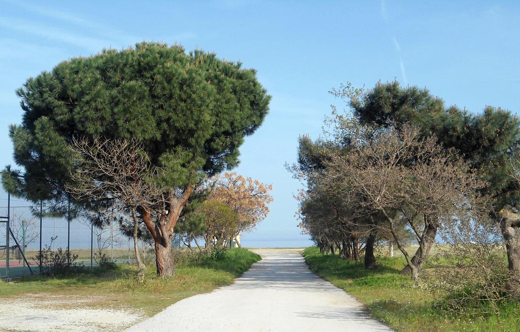 אספרובלטה Villa Verano מראה חיצוני תמונה